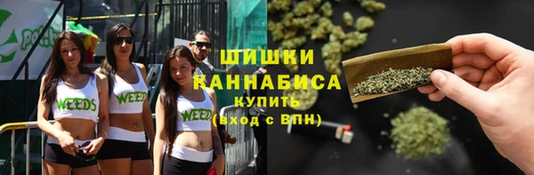 ГАЛЛЮЦИНОГЕННЫЕ ГРИБЫ Волоколамск