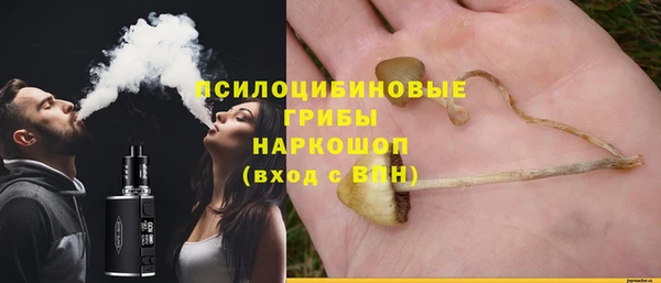 молекула духа Володарск
