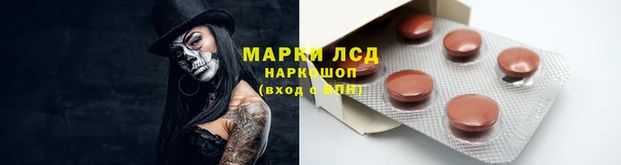 ГАЛЛЮЦИНОГЕННЫЕ ГРИБЫ Волоколамск