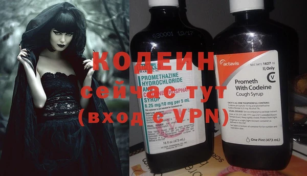стаф Бородино