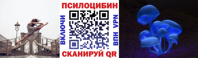Купить закладки Мглин Галлюциногенные грибы прущие грибы