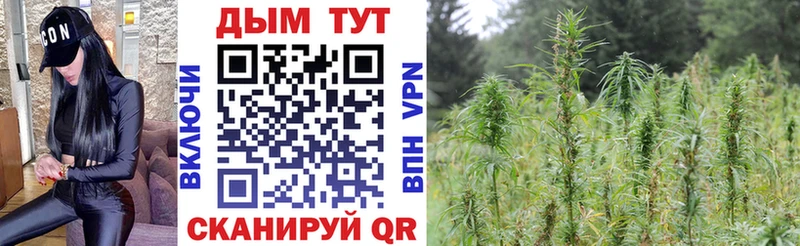 Купить  Мглин  Канабис тримм 